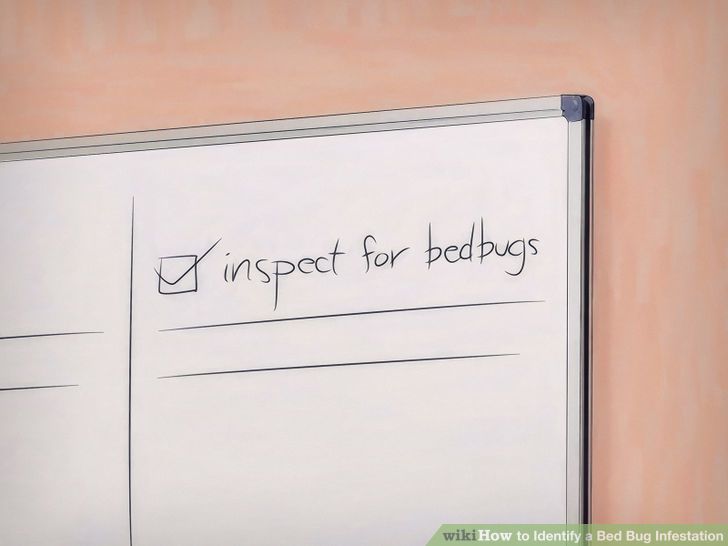 Identify a Bed Bug Infestation Step 26 Version 2.jpg
