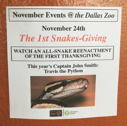 And also Snakes-Giving, an all-snake reenactment of the first Thanksgiving.