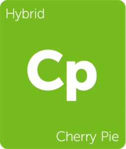 Leafly Cherry Pie hybrid cannabis strain