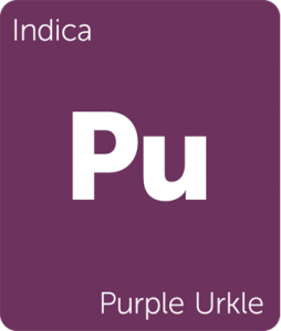 Leafly Purple Urkle indica cannabis strain