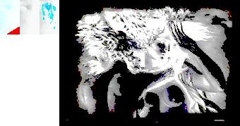 handhands_raised,_colonnade,_political_protest,_instrument,_piano,_back_(horse)--9290-43131-66798-98613-21182.jpg