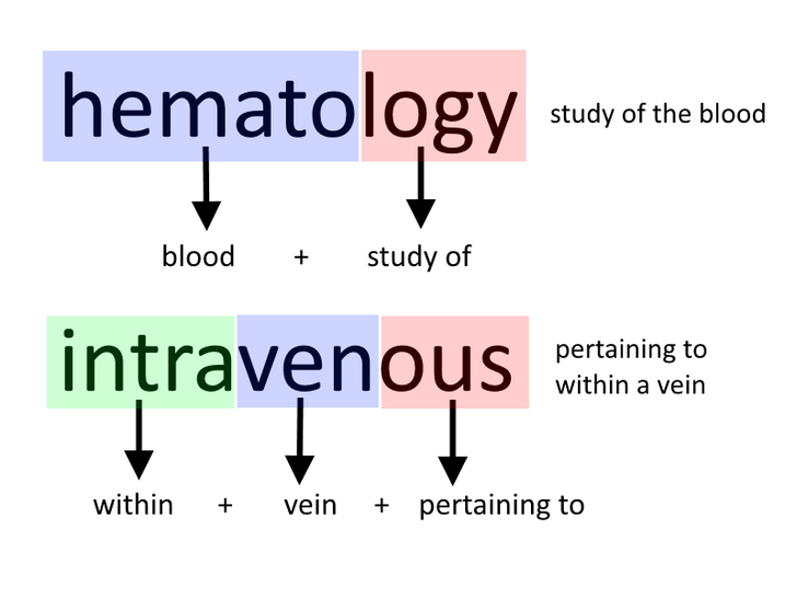 Understand_Medical_Terminolgy_Step_4.png