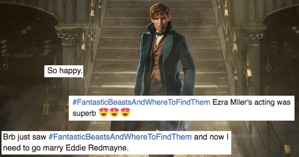 Harry Potter,fantastic beasts and where to find them