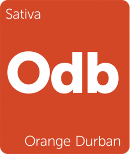 Leafly Orange Durban sativa cannabis strain