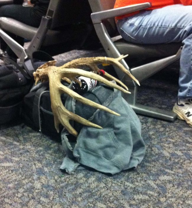 This guy's carry-on is somehow OK, but my nail clippers are deemed highly dangerous