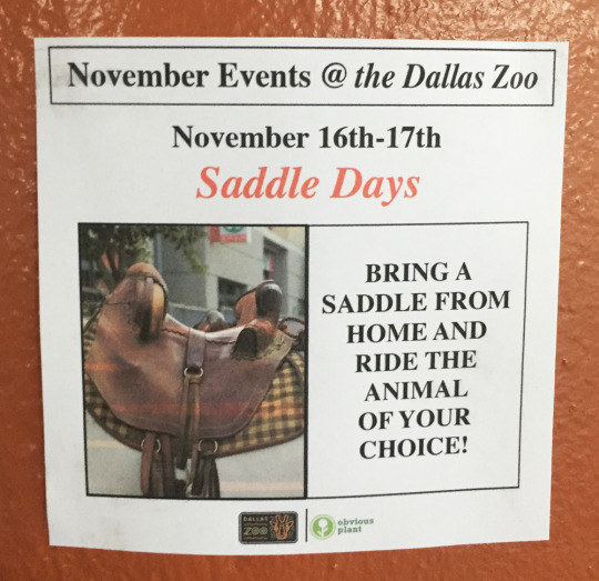 The posters promised "Saddle Days," where visitors were encouraged to bring a saddle to ride on their favorite animal.
