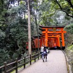 Fotos del Fushimi Inari de Kioto, bosque