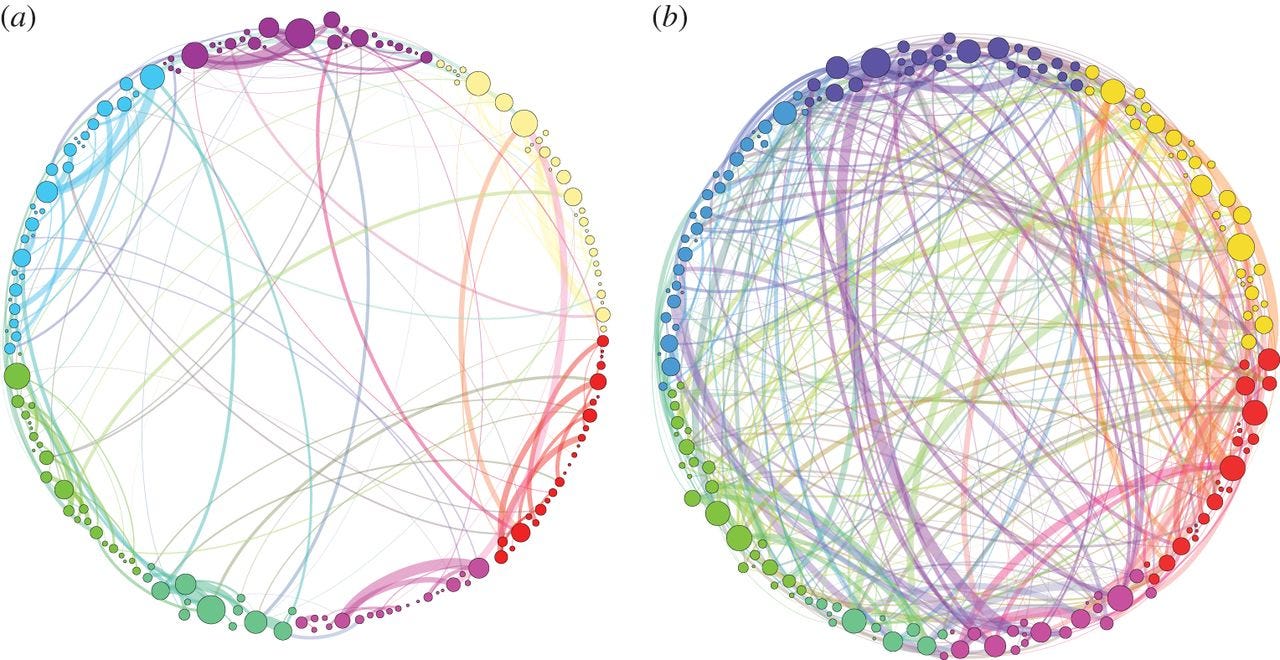 shrooms brain networks