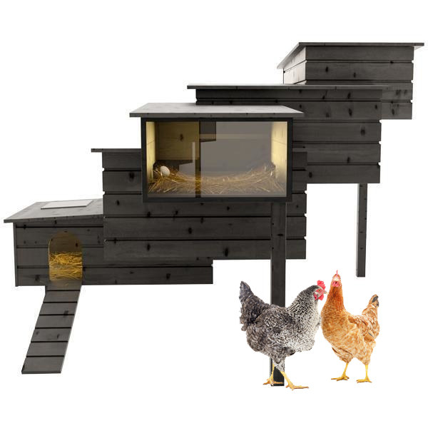 A DESIGNER CHICKEN COOP for your fancy-ass chickens.