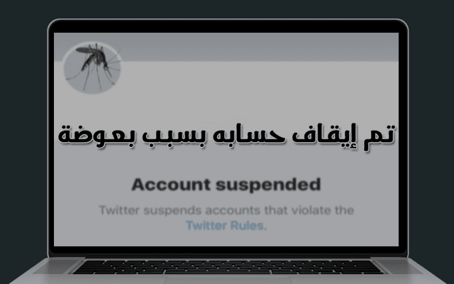 مستخدم على تويتر تم إيقاف حسابه بسبب بعوضة