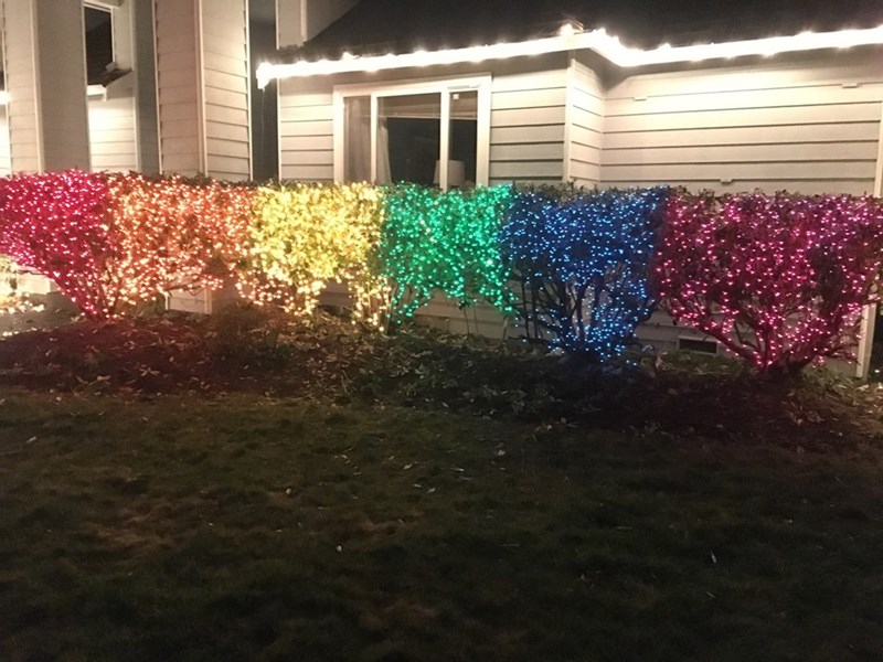 win image neighbors use ten-thousand rainbow lights as chrisitmas decorations as passive aggressive message to homophobic neighbors
