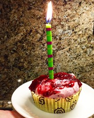 Happy Birthday Nikki! Pistachio Crusted Raspberry Cheesecake Cuppies just for you! Have a wonderful week! #vegan #dessert #birthday #baking #veganmofo2016 #flickrfriend #lovealways
