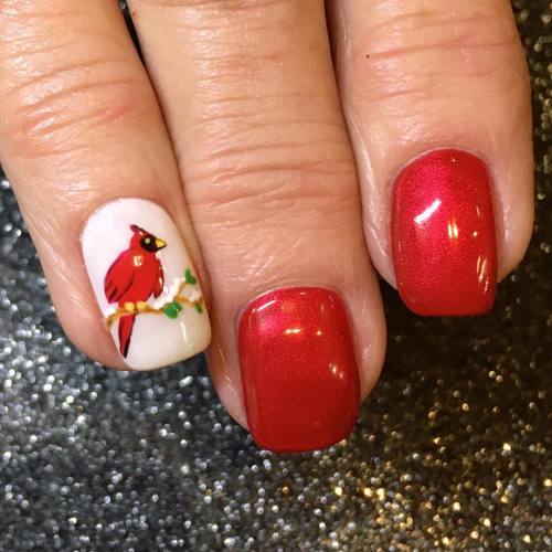 I did these tiny cardinals today! Appropriate for winter AND for...