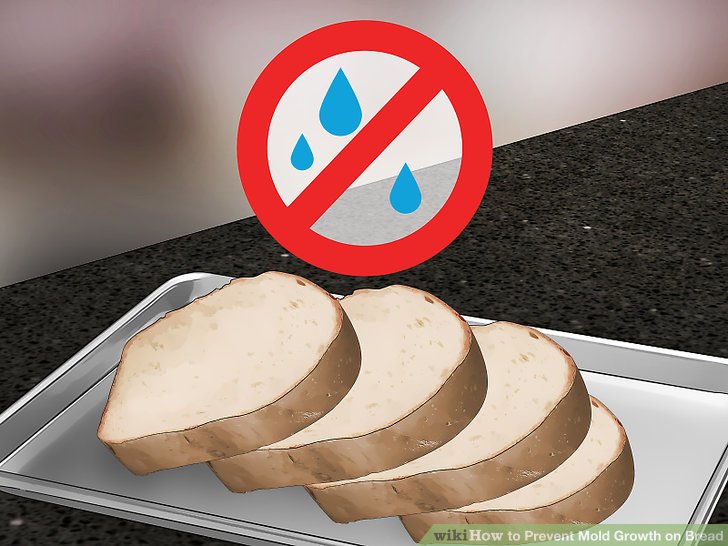 Prevent Mold Growth on Bread Step 6 Version 2.jpg