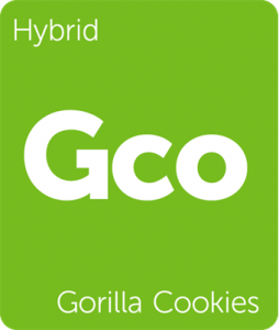Leafly Gorilla Cookies hybrid cannabis strain