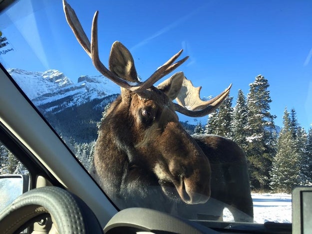 CJ Malan and his wife Theresa had headed out to Peter Lougheed Provincial Park, just south of their home in Banff National Park.