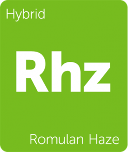 Leafly Romulan Haze hybrid cannabis strain