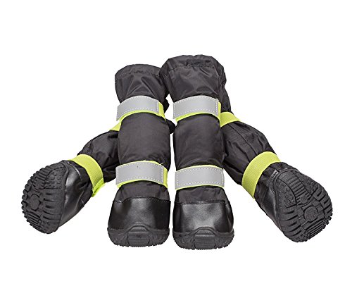 Best Snow Boots For Dogs