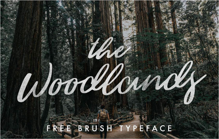 The-Woodlands Signature Font Examples: Pick The Best Autograph Font