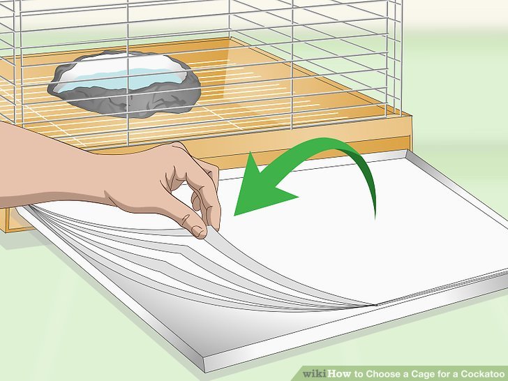 Choose a Cage for a Cockatoo Step 10.jpg