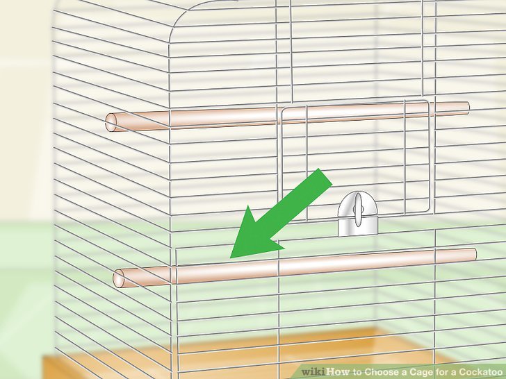 Choose a Cage for a Cockatoo Step 8.jpg