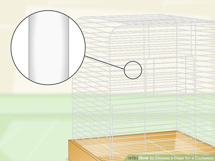 Choose a Cage for a Cockatoo Step 4.jpg