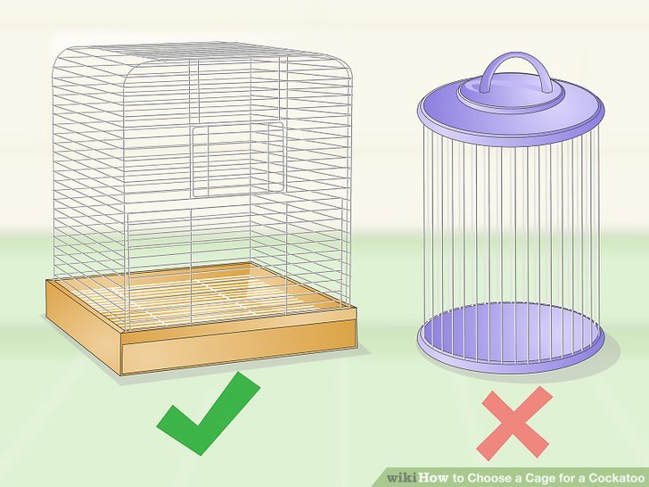 Choose a Cage for a Cockatoo Step 3.jpg