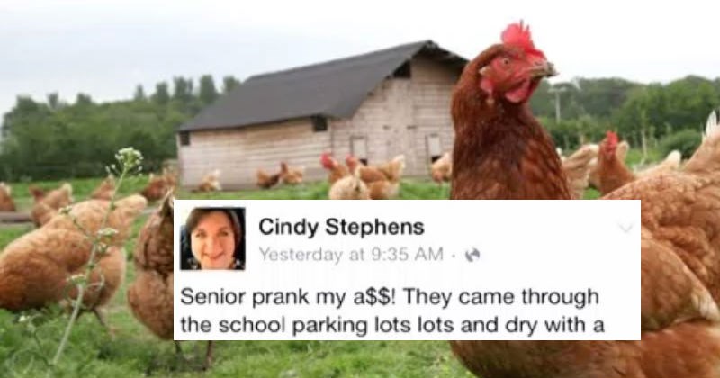 Teacher has freakout on Facebook over senior students' prank that involves covering building in chicken poop.