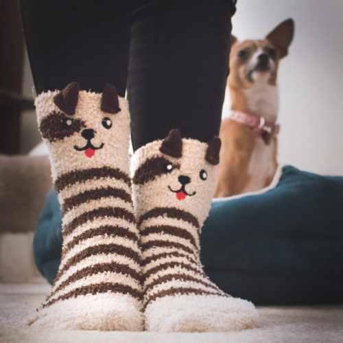 Brown Dog Ears Stripe Fuzzy Socks