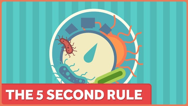 The Five Second Rule Only Works Because Your Kitchen Floor Is Relatively Clean