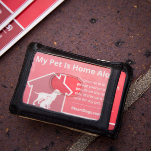 2-Pack “My Pet Is Home Alone” Wallet Cards