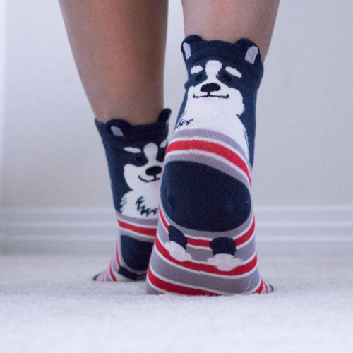 Navy Dog Ears with Red Grey Stripes socks