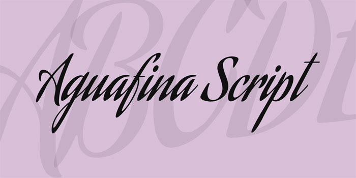 Aguafina-Script-Regular Signature Font Examples: Pick The Best Autograph Font