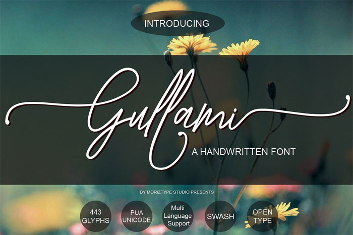 Gullami-Rice-Script Signature Font Examples: Pick The Best Autograph Font