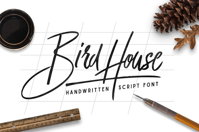 Birdhouse-Script Signature Font Examples: Pick The Best Autograph Font