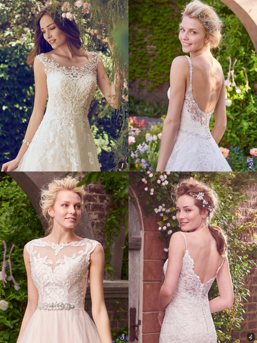 We’ve highlighted a gorgeous wedding dress from the budget...