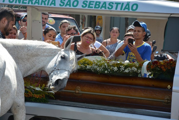 At the service, something remarkable happen. A visibly distraught Sereno gently touched his head against the side of Lima's coffin, and whined and sighed as a sort of goodbye to his beloved owner. Attendees were shocked at the horse's earnest show of emotion.
