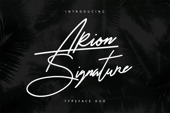 Arion-Signature Signature Font Examples: Pick The Best Autograph Font