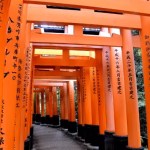 Fotos del Fushimi Inari de Kioto, los torii o puertas rojas