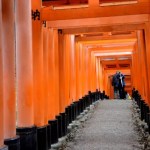 Fotos del Fushimi Inari de Kioto, fotos entre los torii