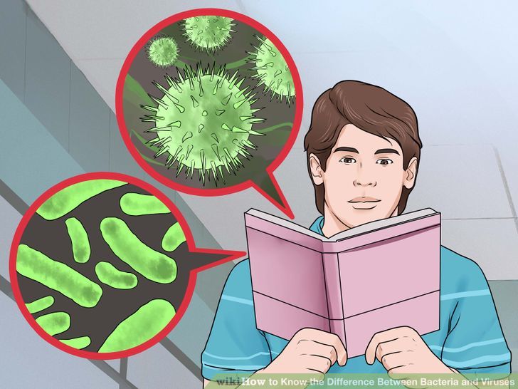 Know the Difference Between Bacteria and Viruses Step 1 Version 2.jpg