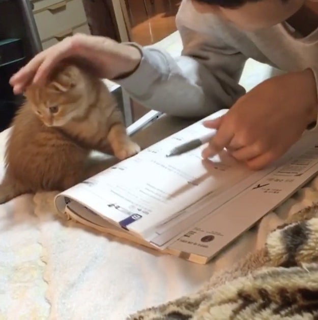 But he eventually gives in and lets Benny help with his homework.