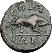Severus Alexander - Parion Parium Mysia Authentic Ancient Roman Coin WOLF i64817