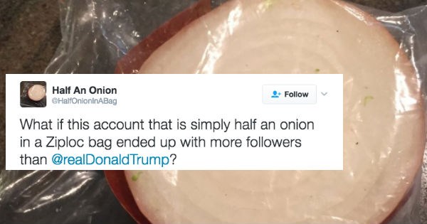twitter,onion,donald trump,election 2016,ridiculous,politics