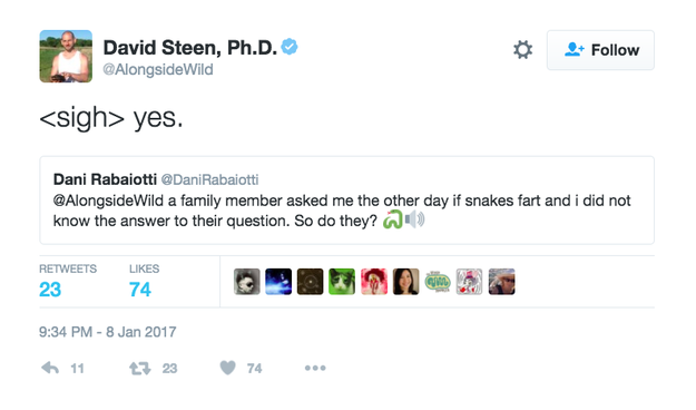 Thanks to David Steen, an ecologist at Auburn University in Alabama, we now know that snakes do in fact fart.