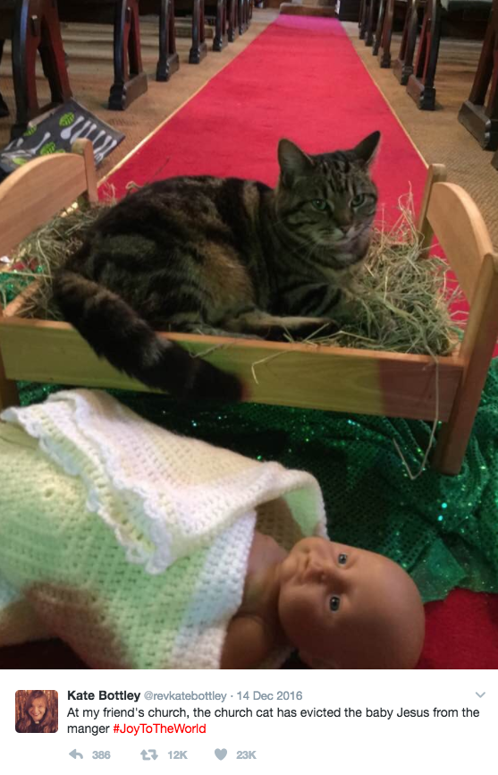 This Scrooge cat who's like, "Away in a manger no crib for his bed...because I TOOK IT."