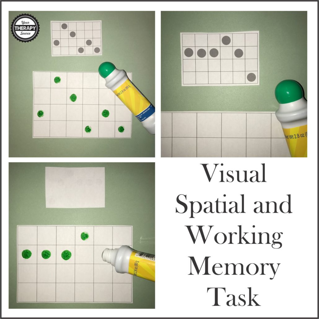 Visual Spatial Working Memory Task