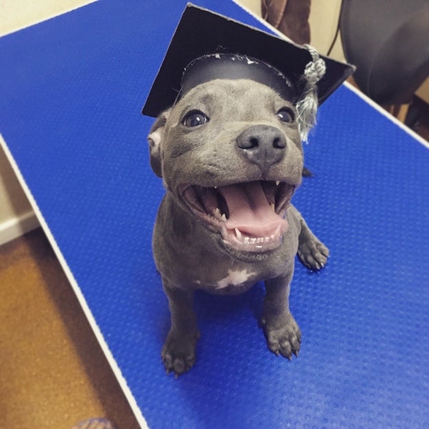 And this proud woman who just graduated from puppy school.
