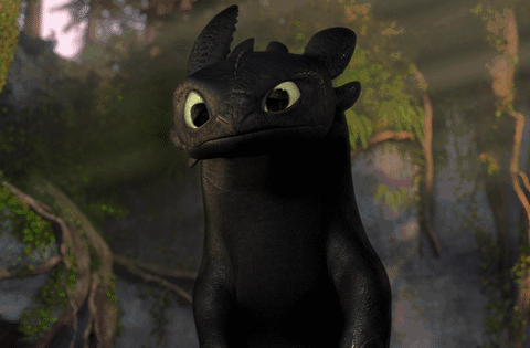 They literally look like little furry versions of Toothless, the dragon from How to Train Your Dragon.