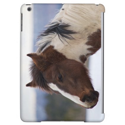 Tri-Colored Horse iPad Air Case